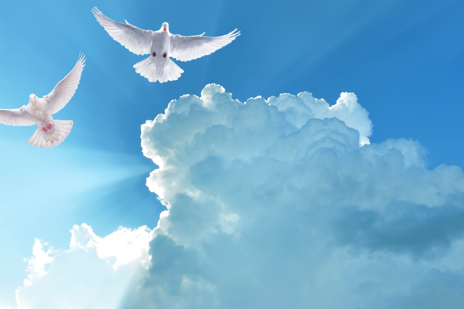 Who is the Holy Spirit